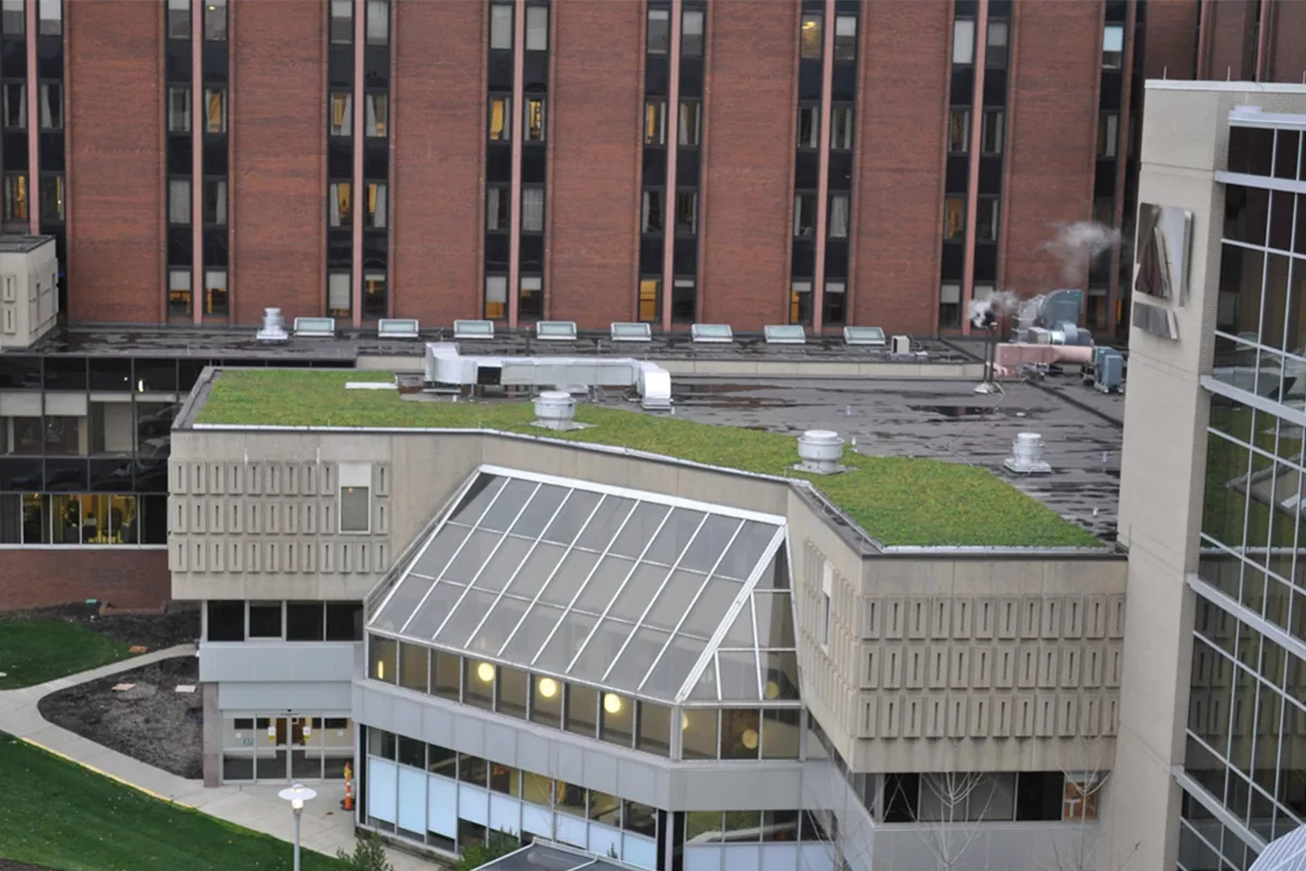 A building with large glass windows and vibrant green roof.