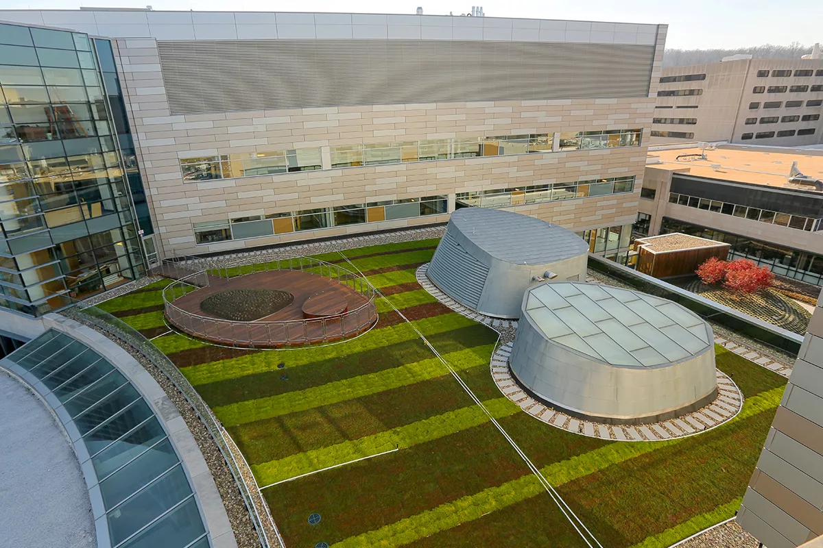 Terraced green roof with deck structure.