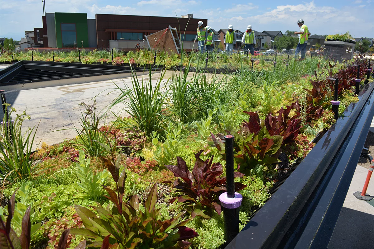 Midtown Provides Residents, Visitors with Unique Community Garden Venue