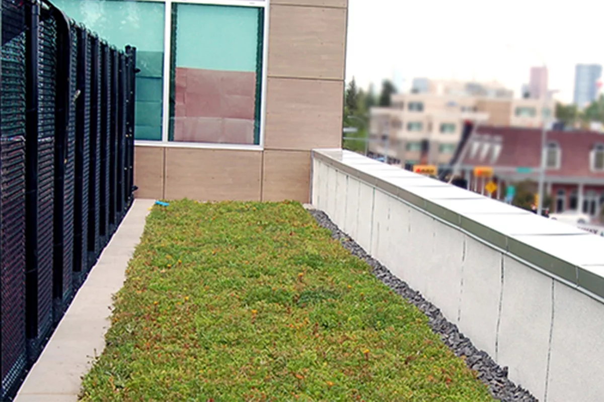 A path of green roof on the rooftop of the Britannia Crossing building in Calgary, Alberta.