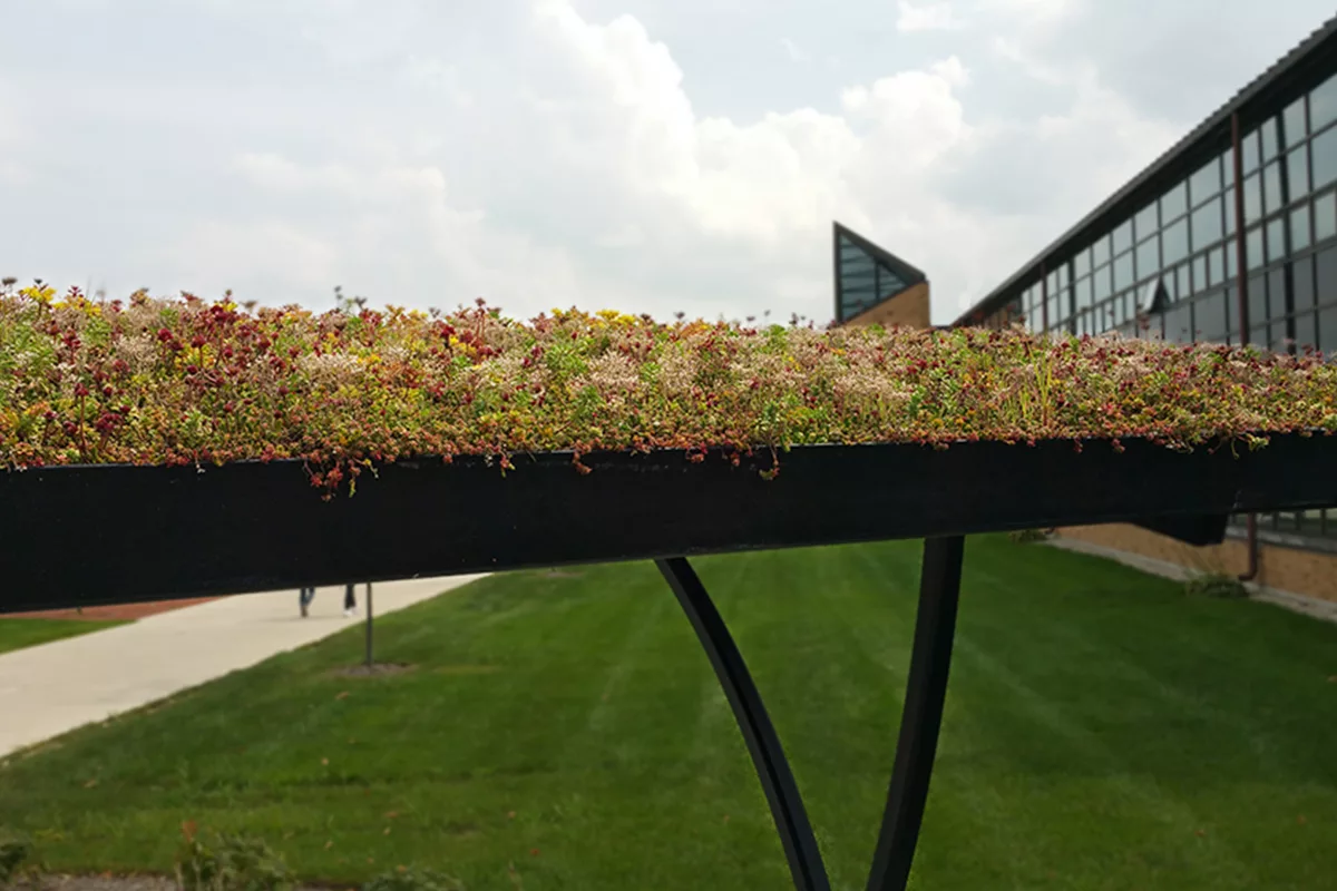 Colorful plants planted in the roof of a bike shelter.