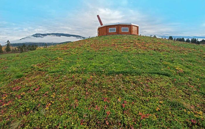 Green sedum mix planted atop a roof with a mountain in the distance.