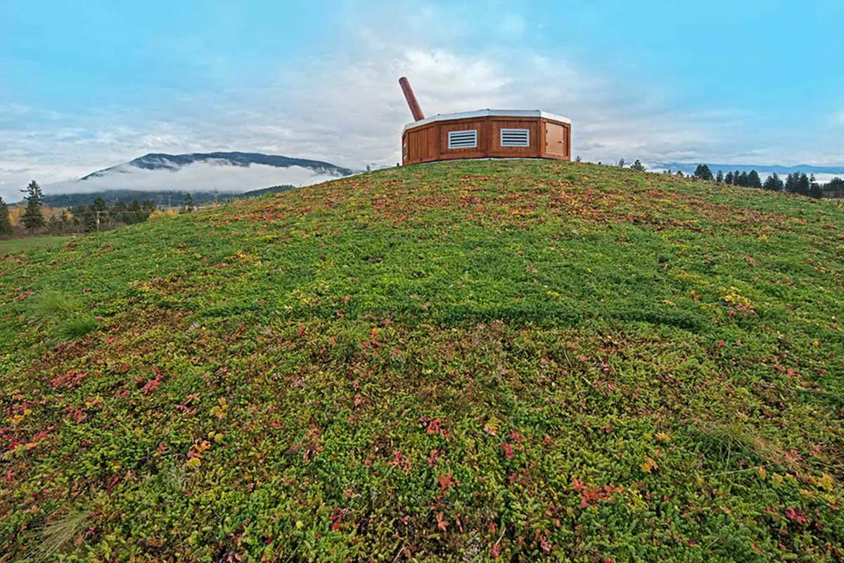 Green sedum mix planted atop a roof with a mountain in the distance.