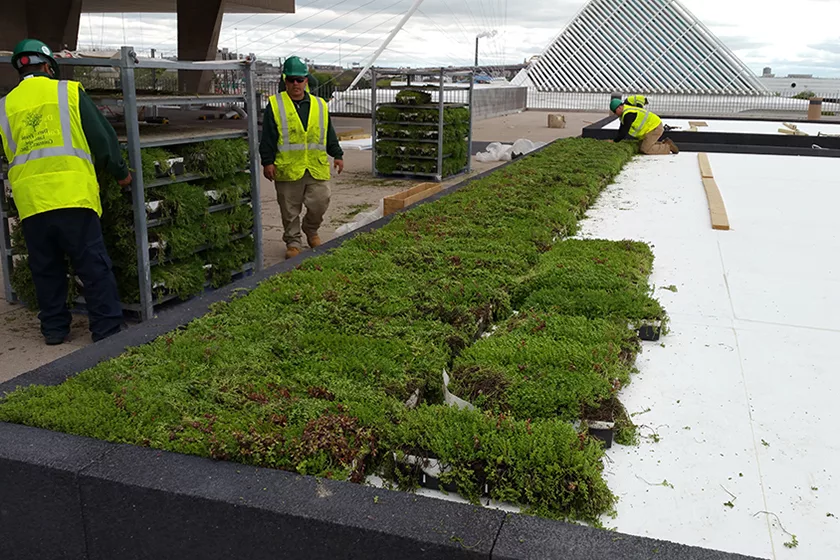 Workers installing LiveRoof modules.