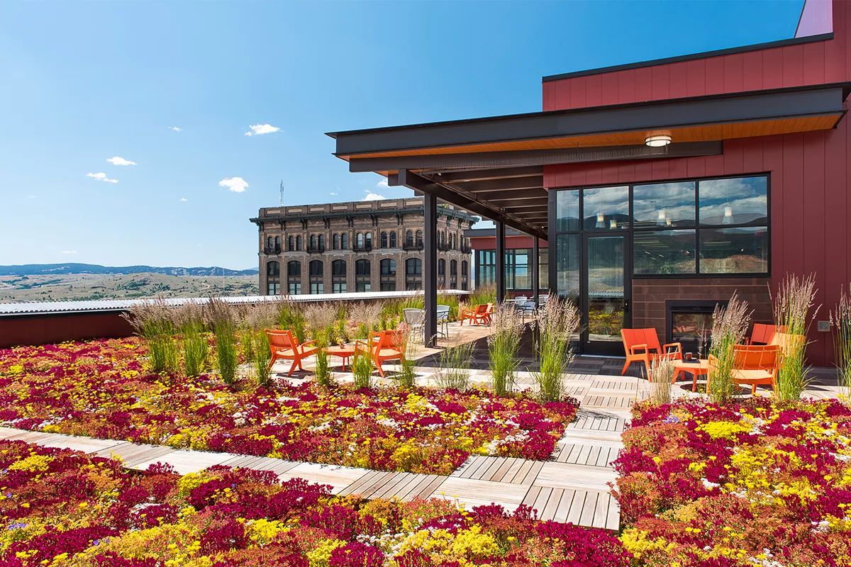 Colorful red, pink, and yellow living roof with patio seating.