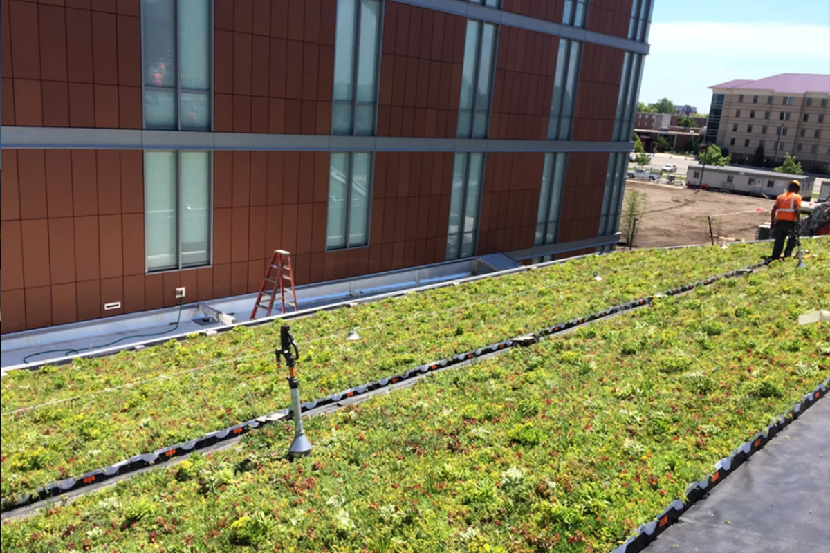 Green living roof in front of a red walled building.