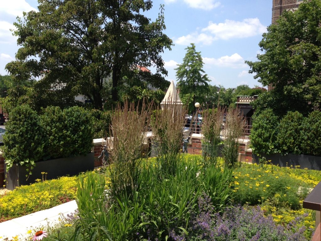 Art Gallery Rooftop Garden