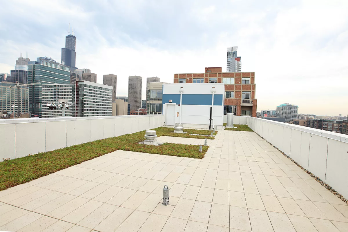 RoofStone pavers in a green roof application.