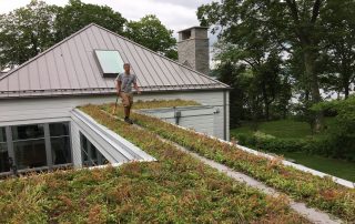 RoofStone paver walkway on residence green roof