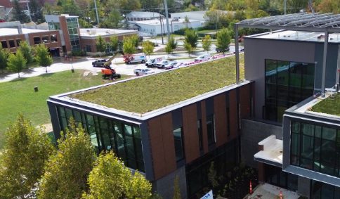 Green Roofs for Stormwater Management – The Forge – A Sustainable Milestone